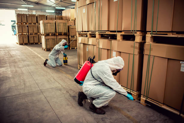 Best Cockroach Control Services  in Forreston, IL