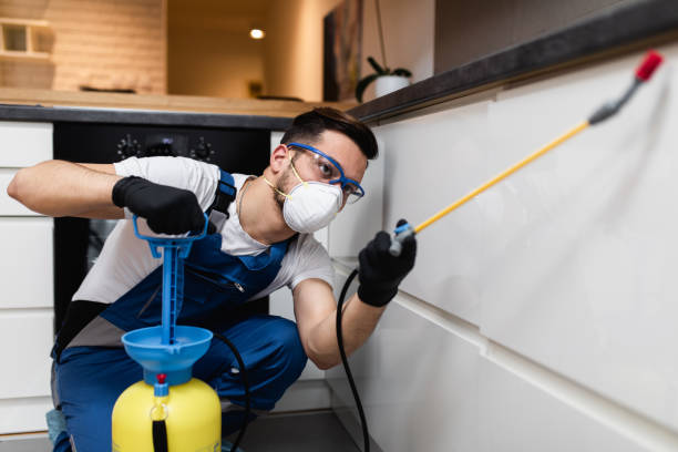 Best Flea Control Services  in Forreston, IL