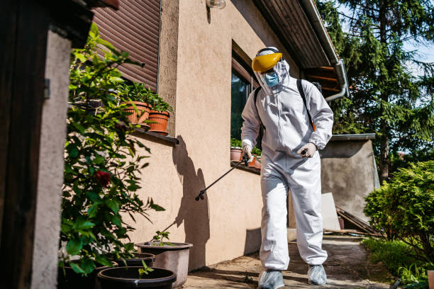 Best Wasp Removal Services  in Forreston, IL