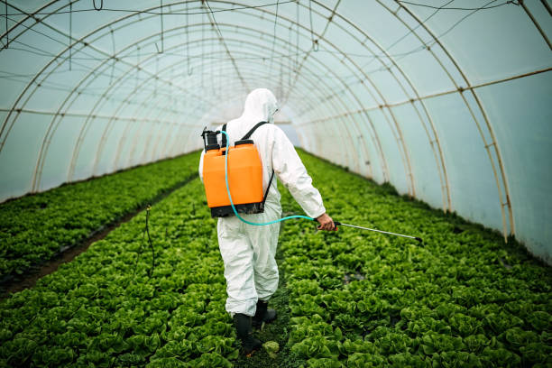 Best Exterminator Services  in Forreston, IL