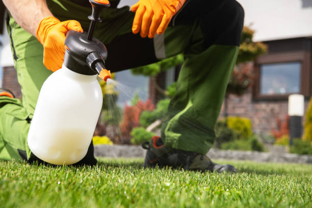 Best Best Pest Control Companies  in Forreston, IL