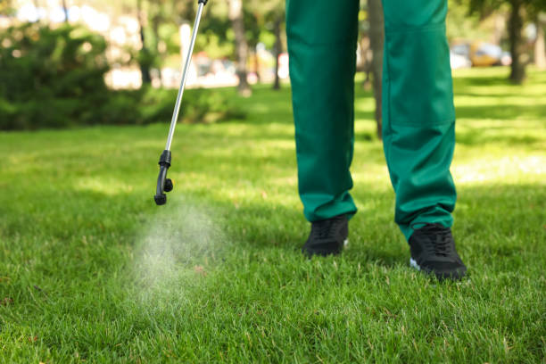 Professional Pest Control in Forreston, IL