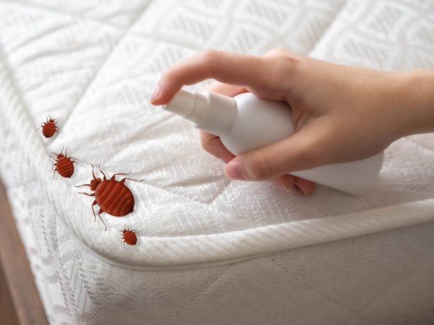 Best Residential Pest Control  in Forreston, IL