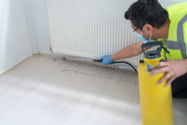 Best Affordable Pest Control Services  in Forreston, IL