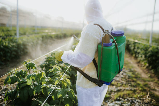 Best Pest Control Near Me  in Forreston, IL
